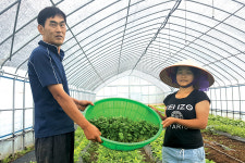 “동남아채소 친환경재배…베트남 맛 제대로 난대요”