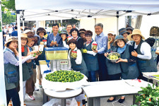 “제주 풋귤 애용해주세요”…서울서 홍보행사