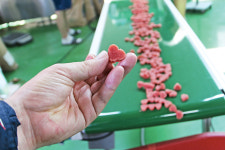 하트 모양 애완동물 사료