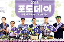 “포도 드시고 팔팔하게 여름 나세요~”