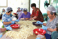 “용돈 벌고 수다 떨고”…‘카네이션하우스’ 건강한 노인공동체 안착