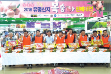 ‘싱싱세종 복숭아’ 하나로마트 서울 양재점서 판촉행사