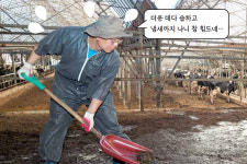 젖소 110마리 착유부터 분뇨청소까지…“쉬운 게 하나도 없네”