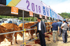 충남 최고 한우·젖소 가렸다…김선희씨 등 7명 최우수상