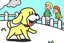 [반려동물 잡학사전] 반려견 놀이터