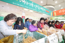 ‘인삼대축제’에서 저렴하게 원기 충전하세요！