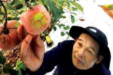 “합격사과 먹고 수능 대박 나세요!”