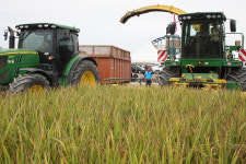 올해 조사료 수급 ‘빨간불’…농가 “대책 마련해달라”
