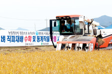 “벼 직파, 이앙농법과 생산량 차이 없어”