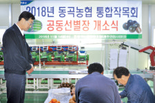 농산물 선별장 문 활짝…올 첫 흑토마토·애호박 출하