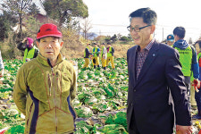 충북 충주 중원농협·한국교통대학교, 대전리 배추농가 일손 도와
