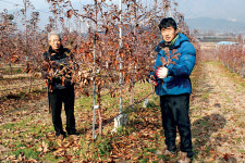 [귀농·귀촌 멘토링] 거래 비결까지 알려주며 젊은 농부 키우는 참스승