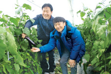 [귀농·귀촌 멘토링] 성실함 무기로 선배 마음 사로잡은 초보농부