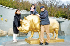 “나를 만나면 모두 잘 돼지~” 황금돼지 찾아 떠나는 여행