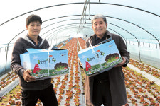 상추 연중 출하로 농가소득 ‘쑥쑥’