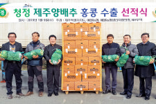 제주산 양배추 18t, 첫 홍콩 수출길 올라