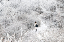 [설 여행] 雪을 맞다, ‘지리산 남원 바래봉 눈꽃축제’