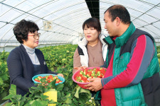 ‘청원생명딸기’ 명품화 사업 박차