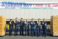 성산일출봉농협, 월동무 수출 1500t ‘목표달성’