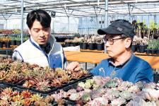 아들은 신품종 들여오고 아버지는 키우고…호흡 척척