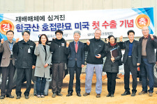 태안산 호접란, 화분째 미국 수출