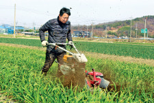 마늘밭에 진미가 | “마늘아, 봄기운 머금고 잘 자라렴”