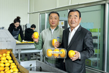 성주참외 명성, 동남아로 뻗어간다