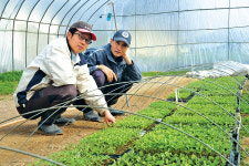 [귀농·귀촌 멘토링] 자연 그대로의 농법 도전…“7~8년간 길잡이가 선배 몫”