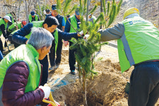 평택시 ‘도시숲 나무 심기 행사’ 동참