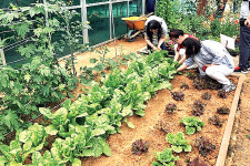 “베란다텃밭·주말농장…도시농업의 모든 것 알려드립니다”