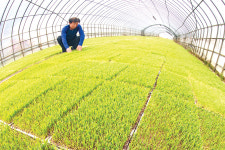 “산불피해 봤지만…이웃돕기 위해”