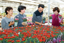 “감사와 사랑, 꽃으로 전하세요”