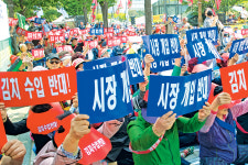 “채소값 폭락 대책 세워달라”