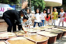 “이 모가 잘 자라면 쌀이 되지요”