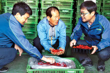 ‘미세먼지’ 사회문제로 부각…폐에 좋은 ‘꾸지뽕’ 주문폭주