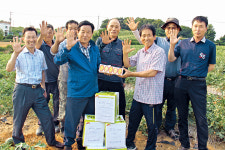 달콤한 화성 명품 ‘햇살드리 황토수박’ 본격 출하