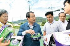 김천 포도, 세계로 힘찬 ‘날갯짓’