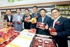 “질 좋은 농산물 착한 값에 제공”