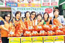 관악농협 임직원·여성조직, 함양 양파 17t 주문