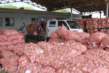 정부·농협, 마늘 1만5000t 추가수매