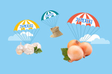 ‘풍년이 두렵다’…“농산물 수급안정대책 전면 재검토를”