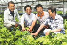 기능성 수박 출하로 농가소득 ‘쑥’