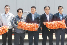 양파  판로개척 ‘온힘’…수출 1500t 달성