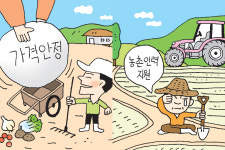 추석 앞둔 농촌 민심 “농산물값 안정 희망” “농정현안 제때 처리되길”