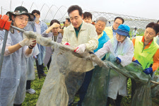 “추석 전 농작물재해보험금 50% 지급 조치”