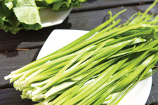 [강레오의 식재탐험] 산의 정기 가득한 ‘천연보약’