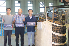 일죽농협, 감자유통 활성화로 농가소득 ‘쑥쑥’