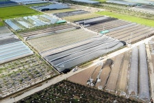 제9호 태풍‘마이삭’ 한반도 내륙 강타…농업 피해 속출