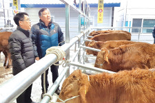 최첨단 전자경매시스템 가동…가축거래 투명성 높여