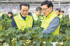 이성희 농협회장, 일손 도우며 ‘현장취임식’